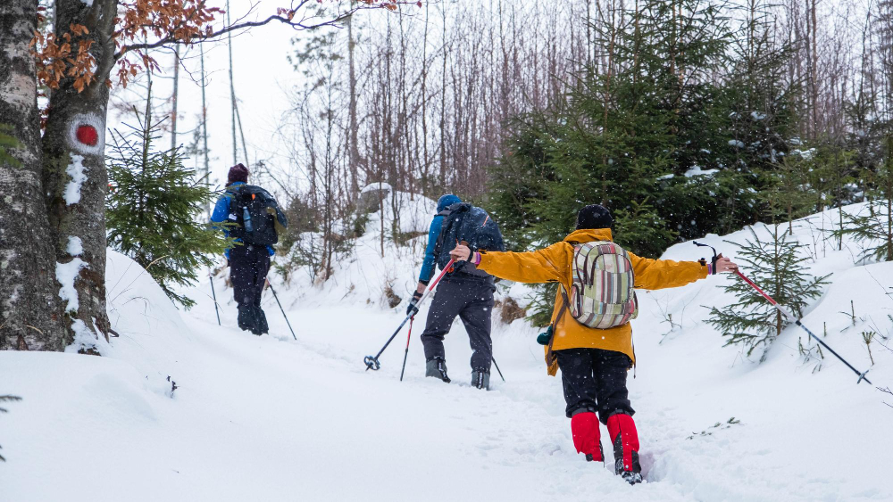 le ski de randonnée